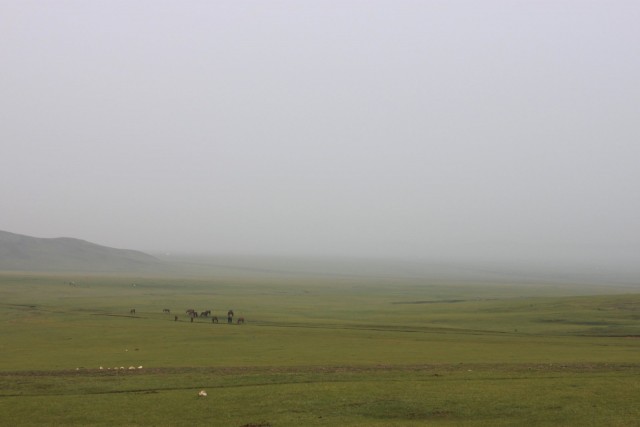 Типичный монгольский пейзаж
